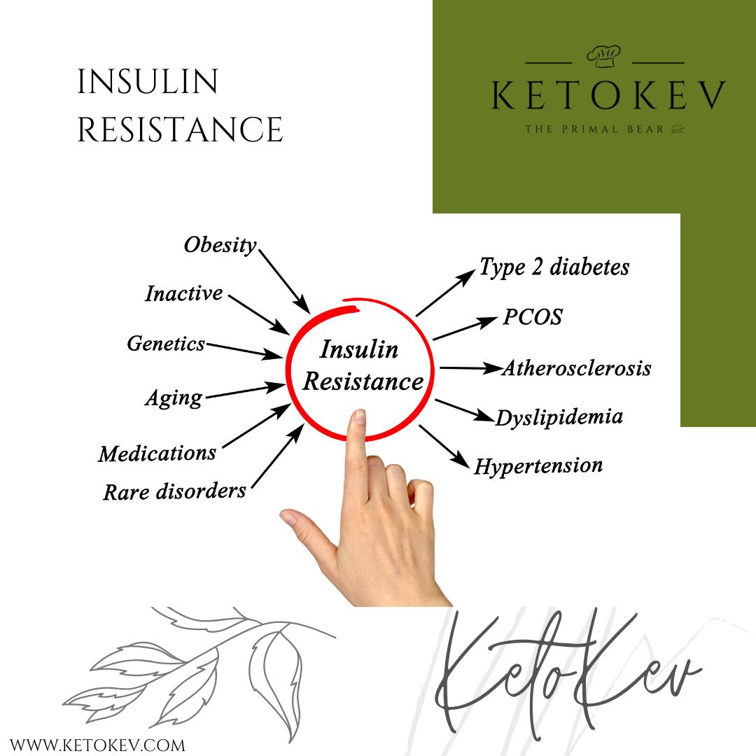 
          
            Insulin Resistance
          
        