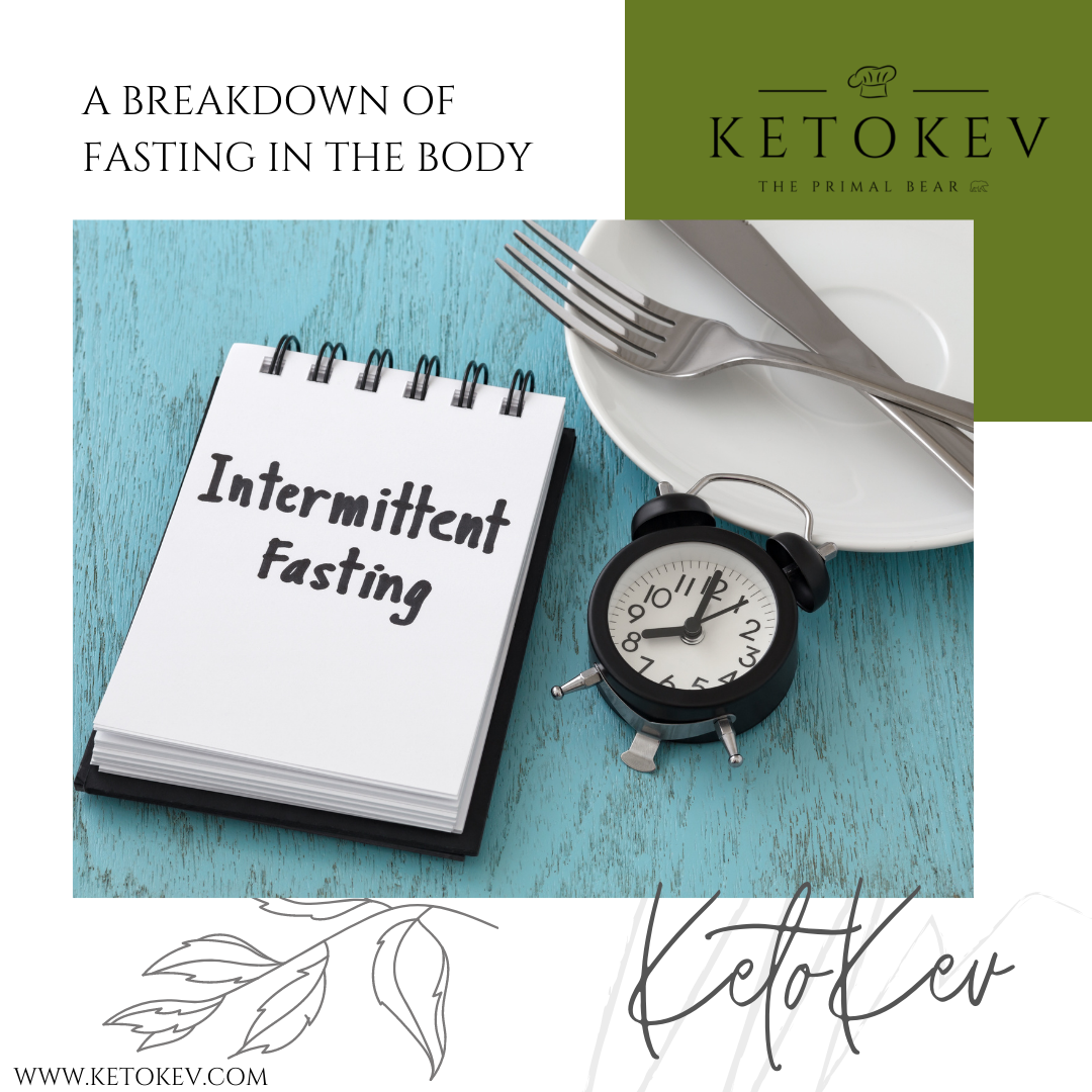 
          
            A breakdown of fasting in the body
          
        